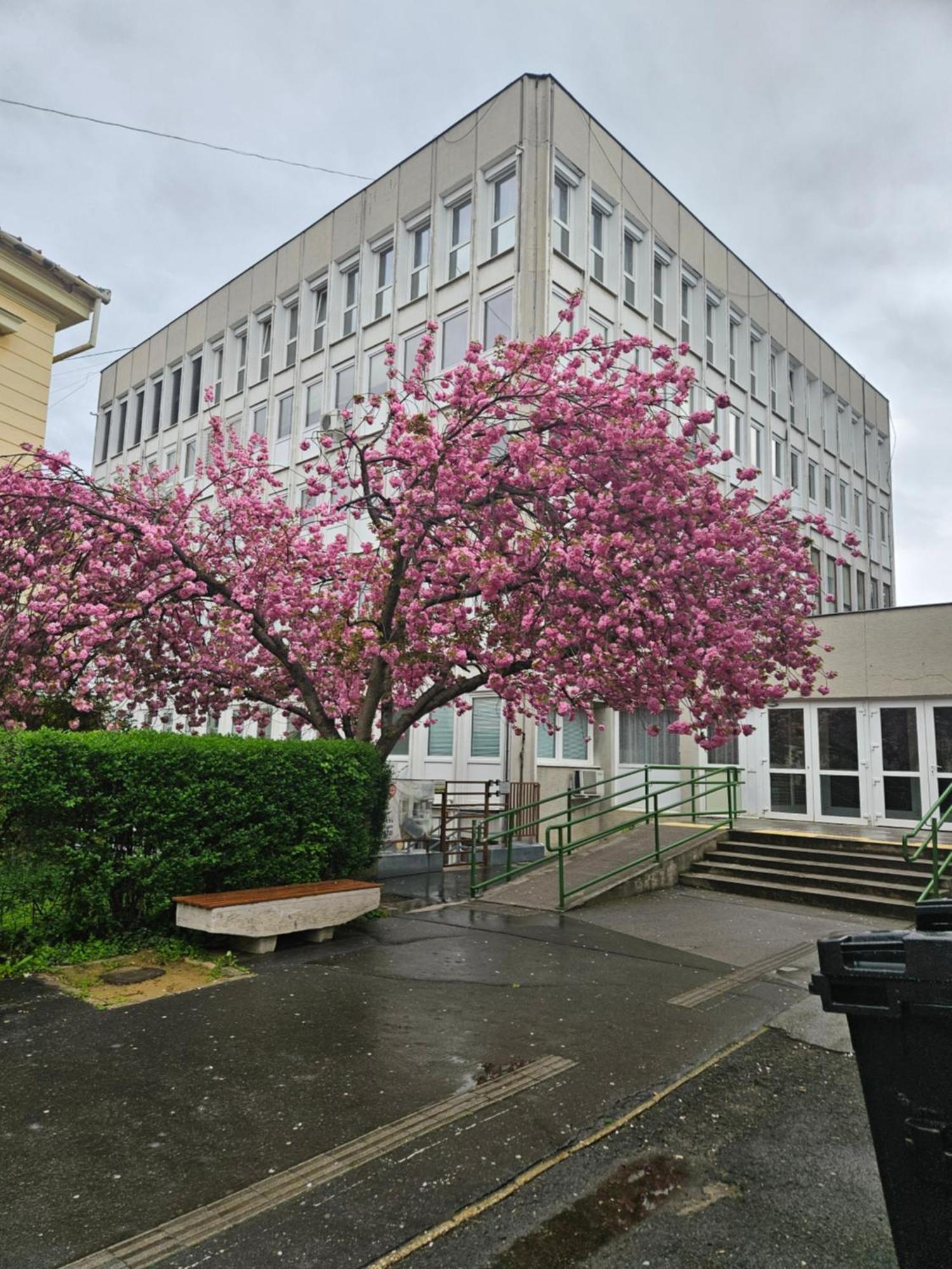 Hellowine Apartman Eger Exterior foto